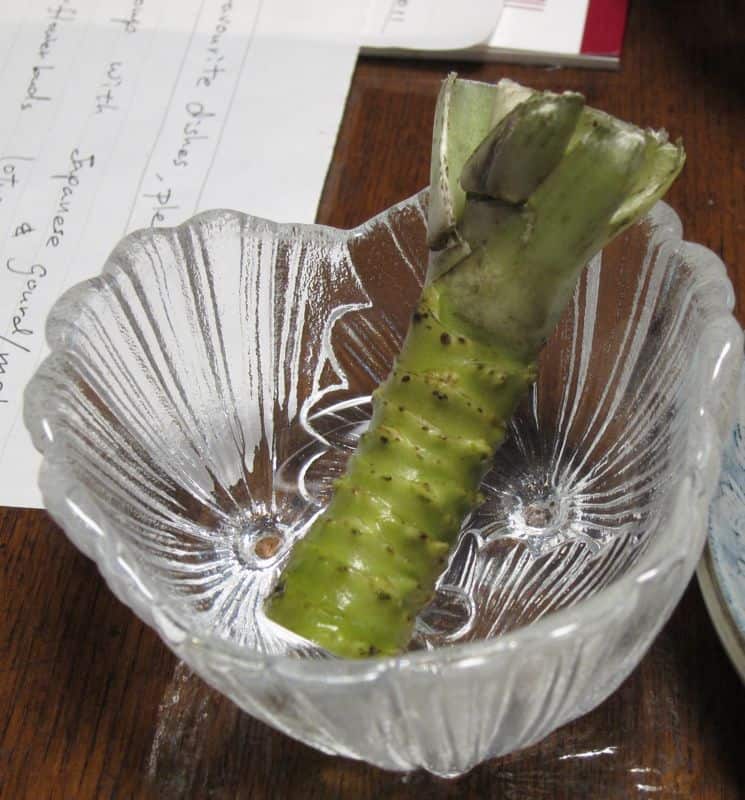 Fresh wasabi