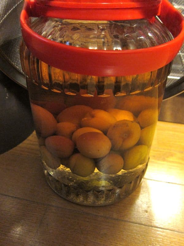 Homemade umeshu - sake with plums