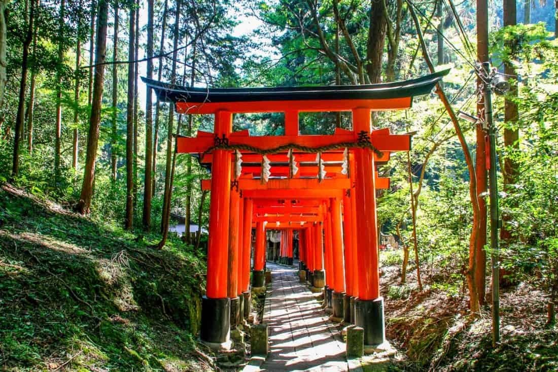 Fushimi Inari, the best shrine in Kyoto