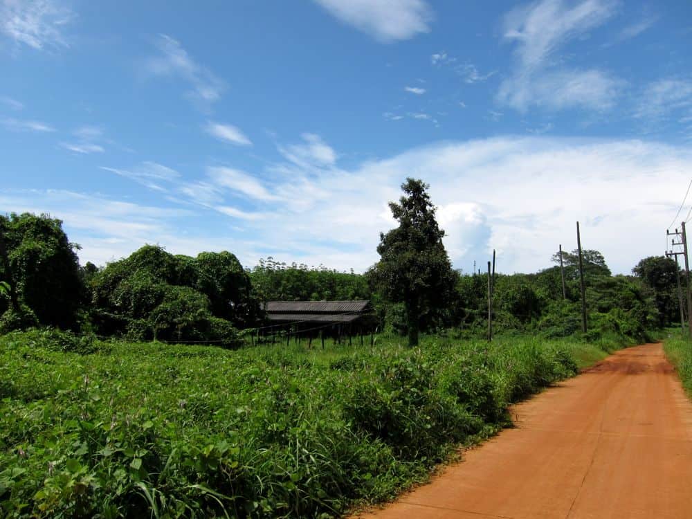 A typical road in Koh Mak