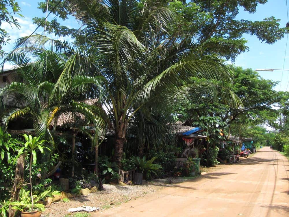 Busiest street in Koh Mak Busiest street in Koh Mak