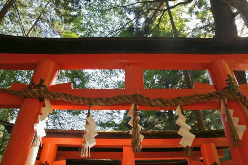 Shimenawa on a torii gate at Fushimi Inari Shrine, Kyoto