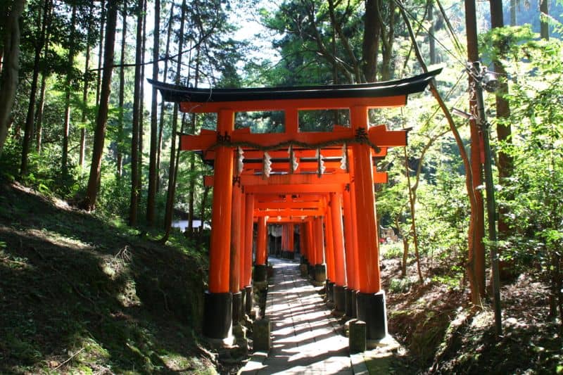 Torii gates at Fushimi Inari Shrine