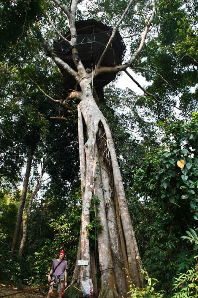 Gibbon Experience treehouse, Laos