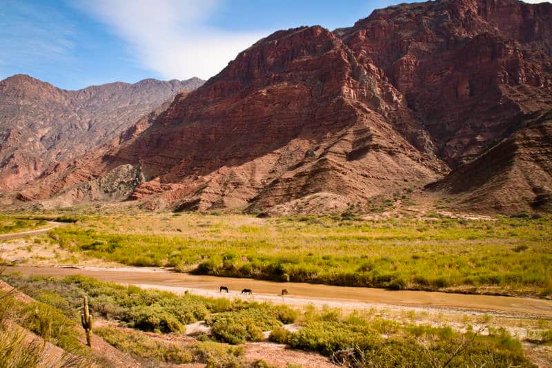 Northwest Argentina near Cafayate