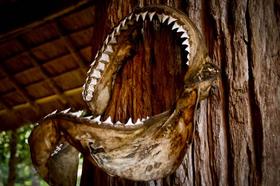 Teeth, Black House, Chiang Rai Teeth, Black House, Chiang Rai