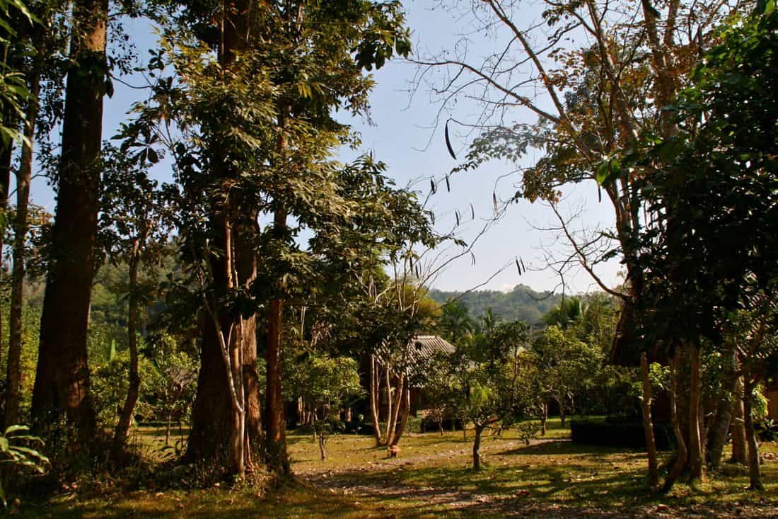 Chang Dao Nest Garden