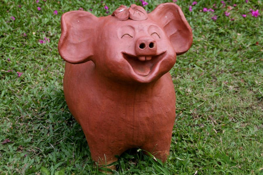 Wat Lok Mali pig