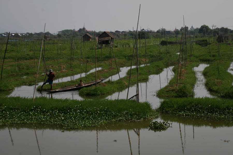 Floating Gardens, Inle Lake