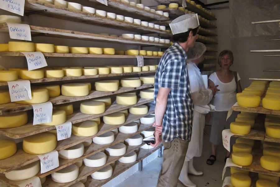 Cheese storage