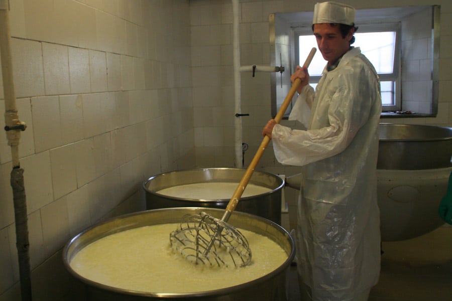 Simon cheesemaking