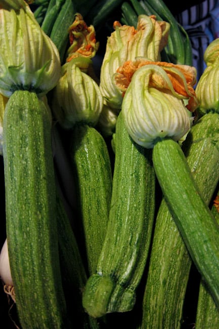 Zucchini and flowers Zucchini and flowers