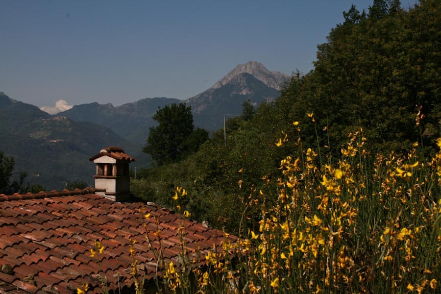 Flowers and mountains near Barga