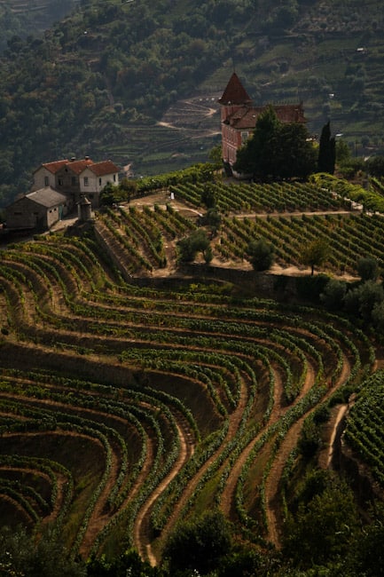 Douro valley 1