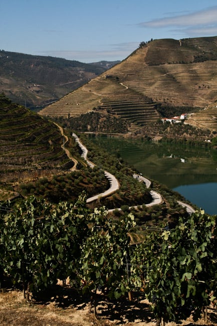 Douro valley 13