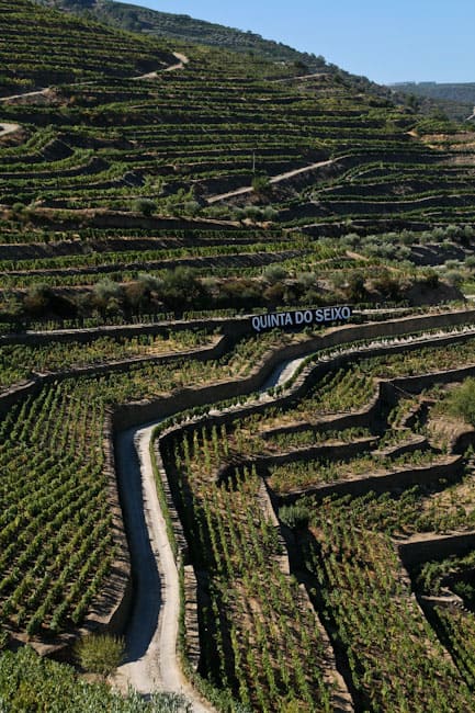 Quinta do Seixo, Douro Valley 7