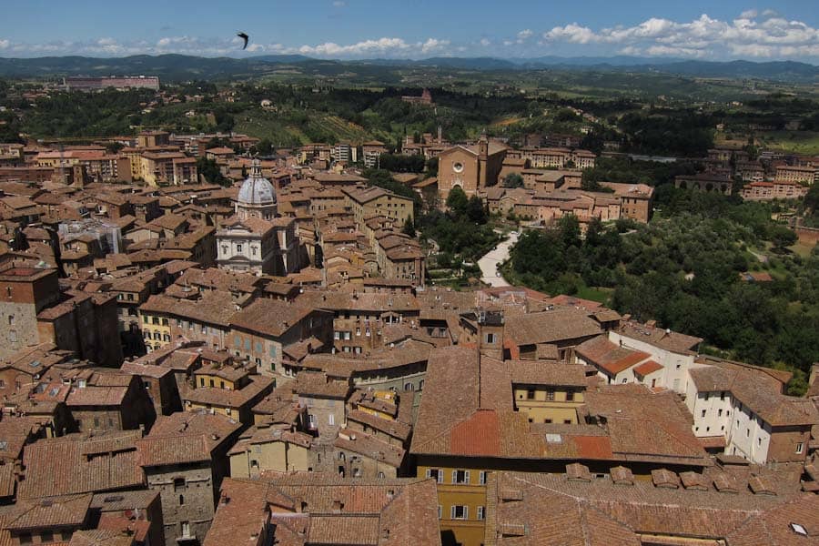 View from Siena Torre del Mangia