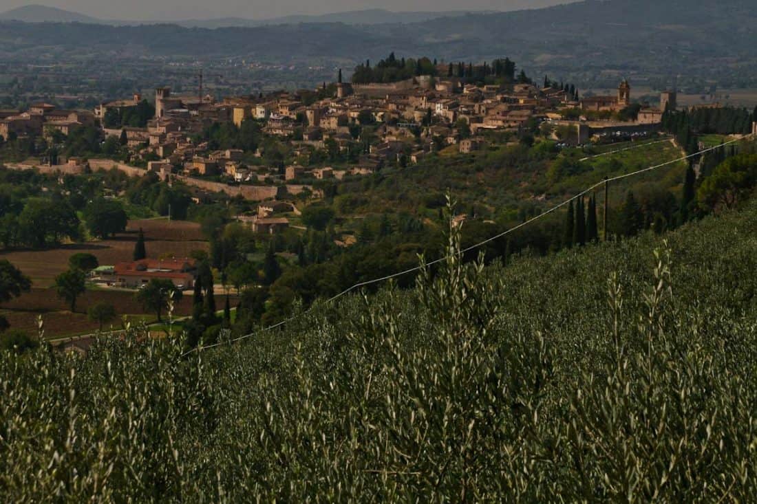 Spello, Umbria