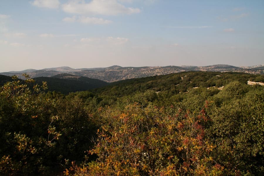 Ajloun Nature Reserve, Jordan