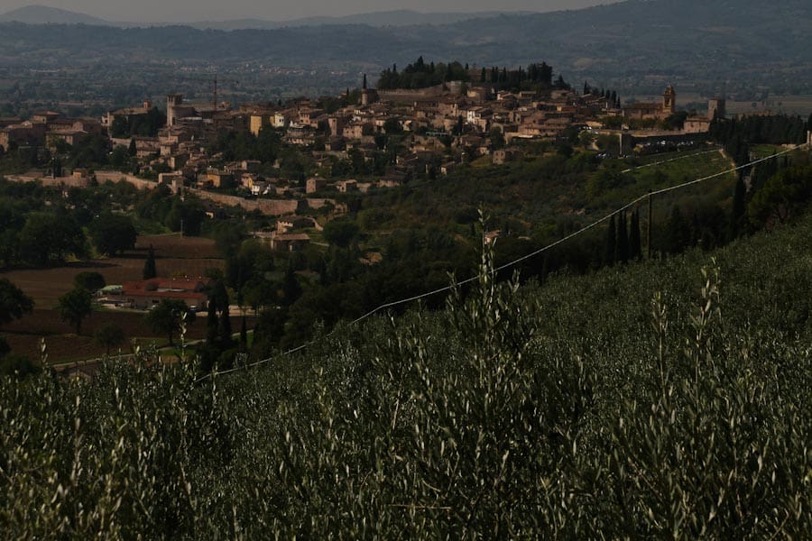 View of Spello from Roman Aqueduct path View of Spello from Roman Aqueduct path