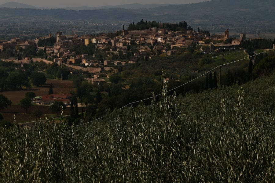 View of Spello from Roman Aqueduct path