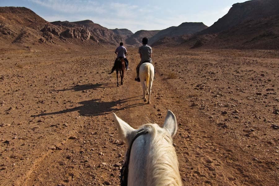 Horse riding in Wadi Rum Horse riding in Wadi Rum
