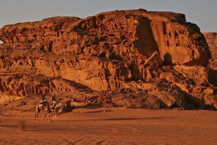 Camels in Wadi Rum, Jordan
