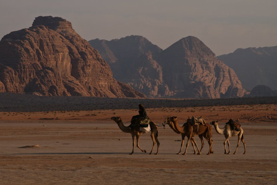 Bedouins on camels in Wadi Rum Bedouins on camels in Wadi Rum