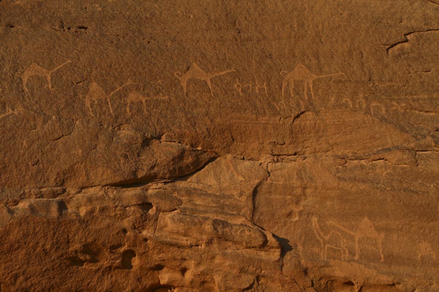 Wadi Rum rock carvings of camels Wadi Rum rock carvings of camels