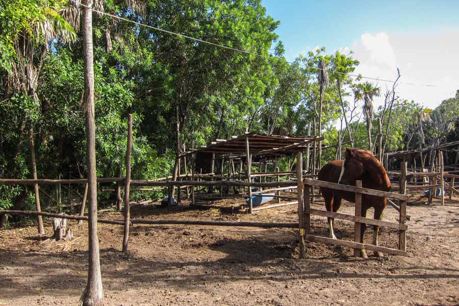 Rancho Baaxal, Maroma, Mexico