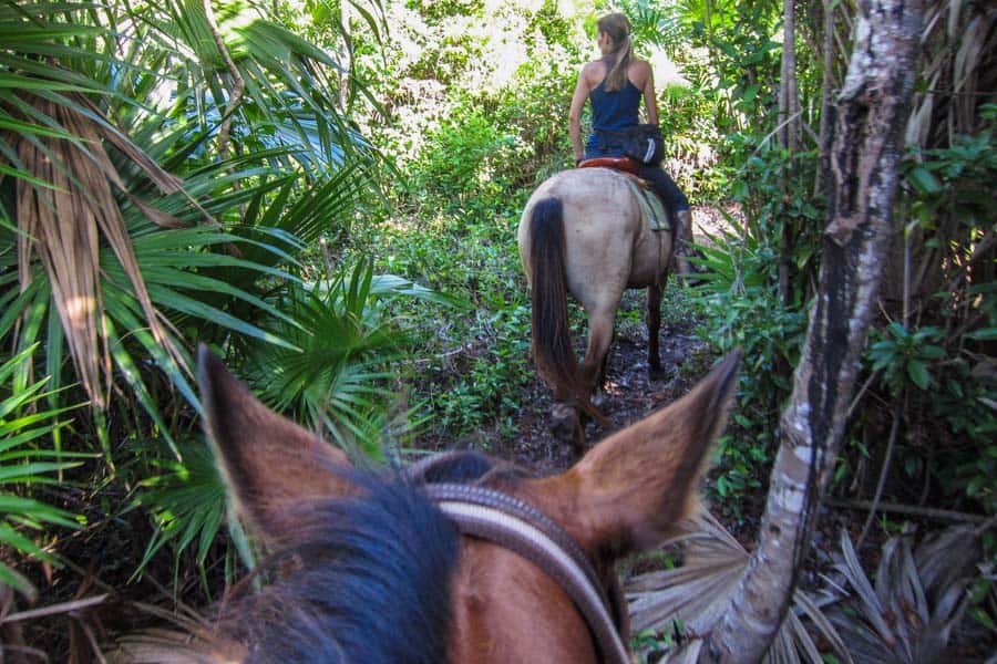 Riding through jungle to get to beach