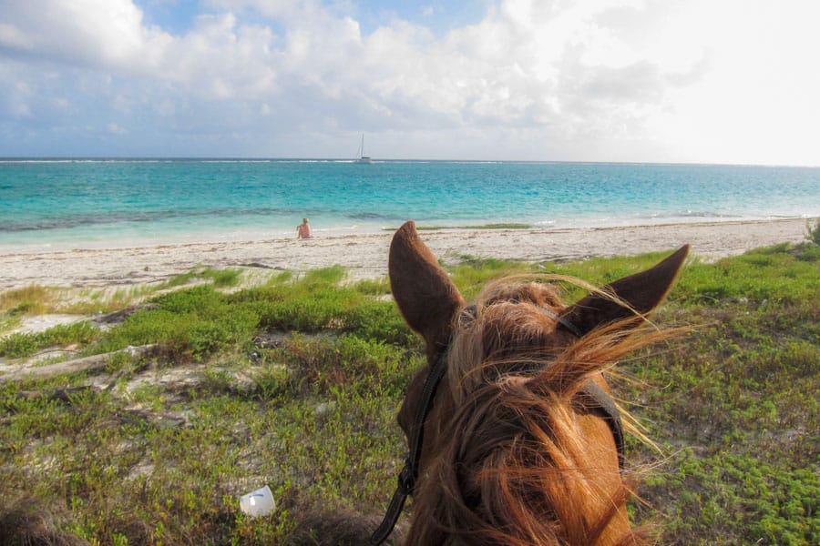 Rey at Maroma beach