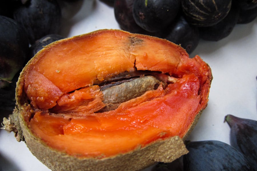 Mamey fruit