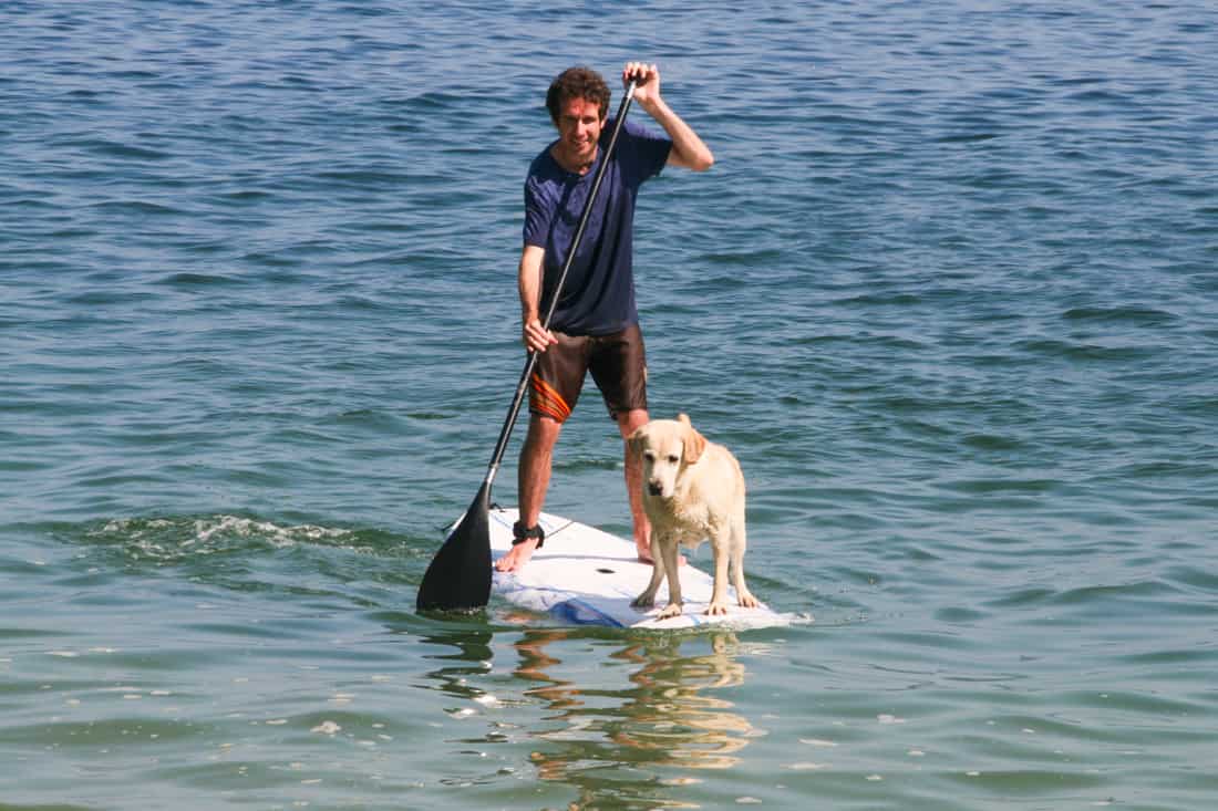 Stand Up Paddle Boarding with Dog