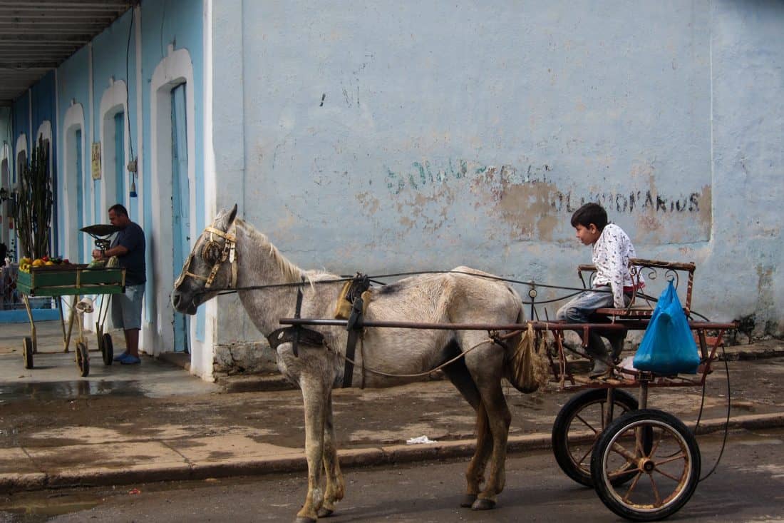 Horse cart in Vinales