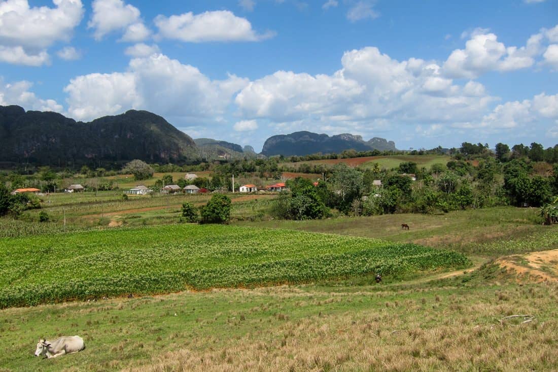 Rural scene just outside Vinales