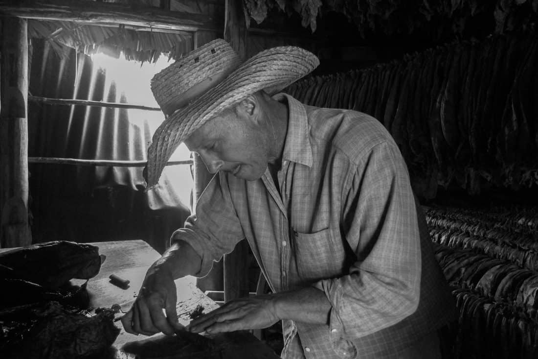Tobacco farmer rolling a cigar, Vinales, Cuba