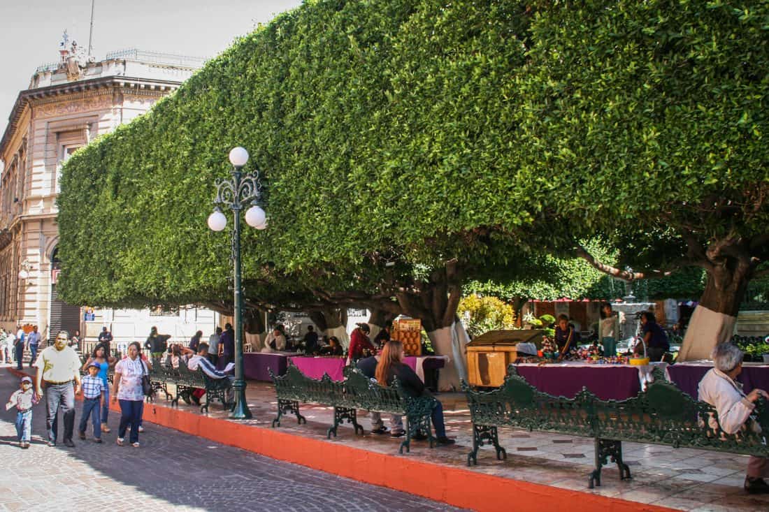 Jardin de la Union, Guanajuato