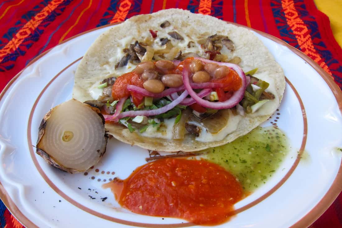 Vegetarian Mexico: Cheese & mushroom quesadilla