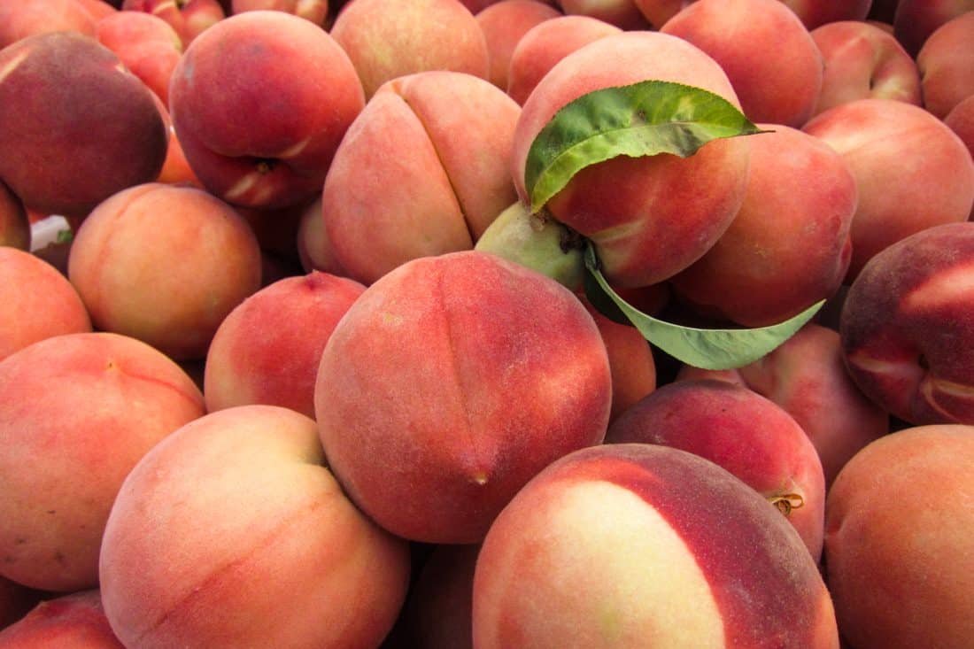 Peaches at the Ferry Building