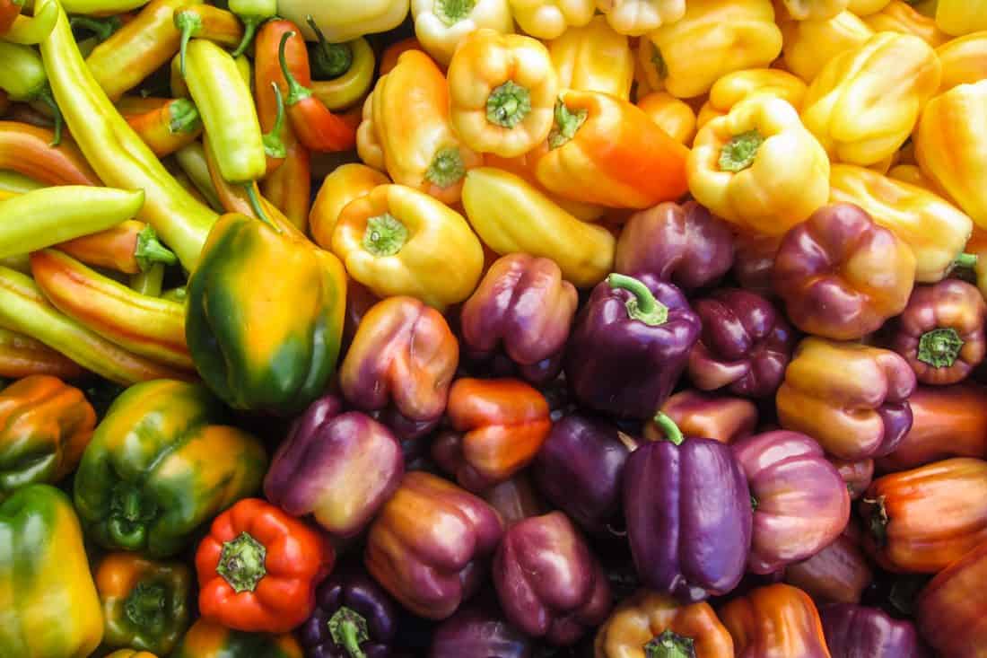 Colourful peppers at the Ferry Building farmer's market