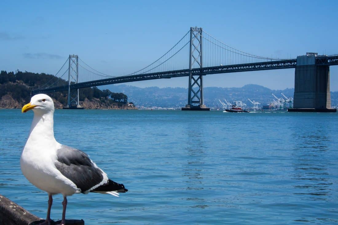 The Bay Bridge from the Ferry Building