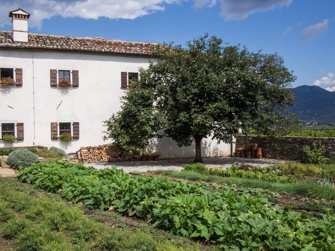 Vegetable garden outside Majerija , Slap, Vipava Valley