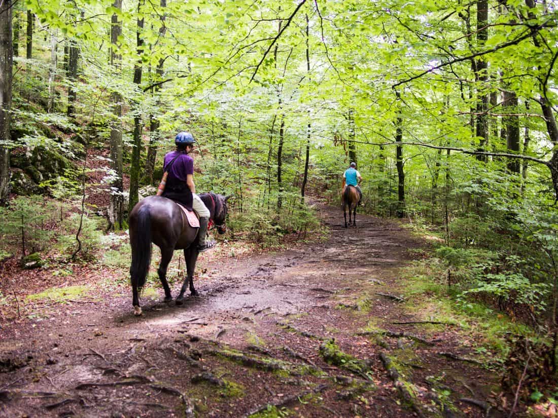 Horse riding near Lake Bled, Slovenia