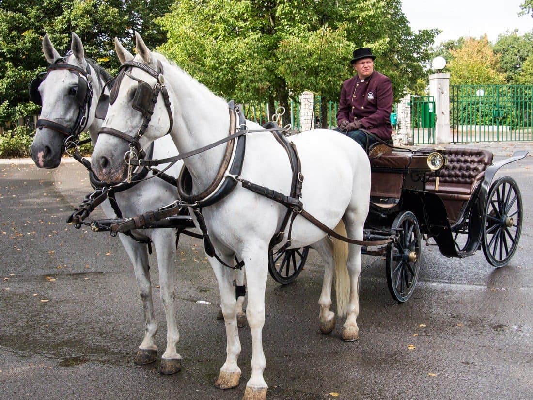 Carriage ride, Lipica Stud Farm, Slovenia