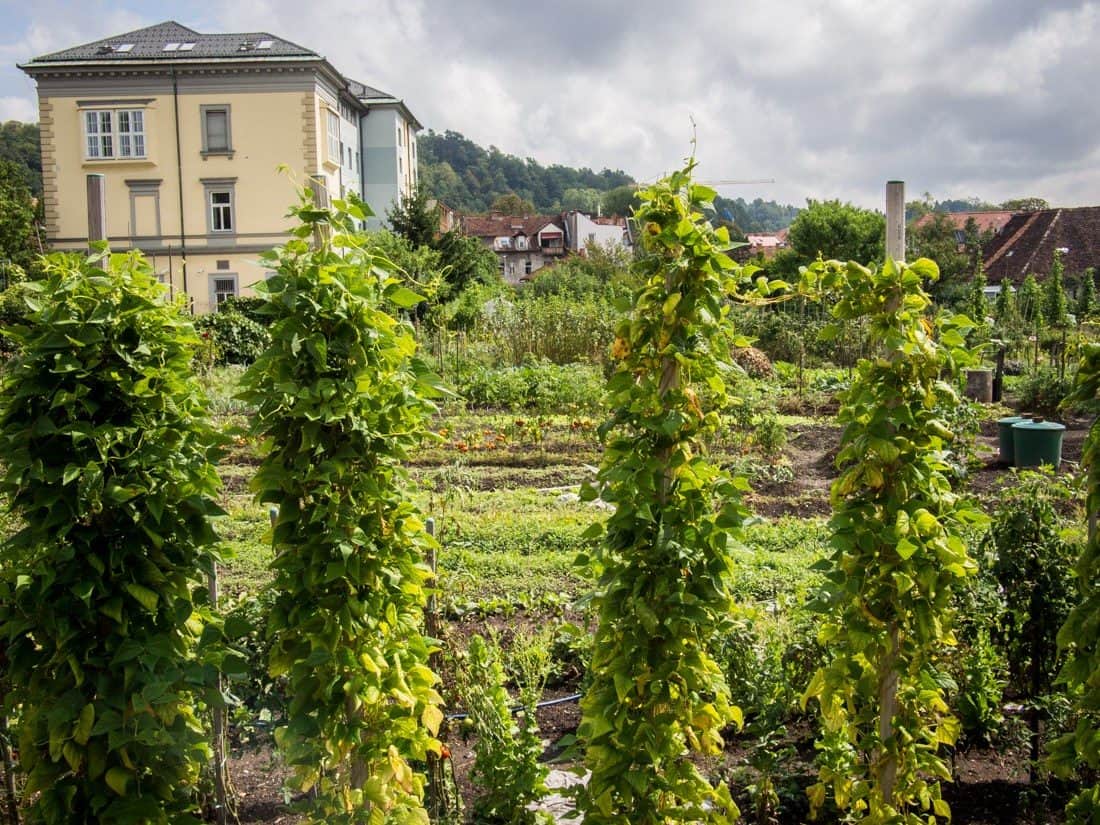 Urban garden, Ljubljana