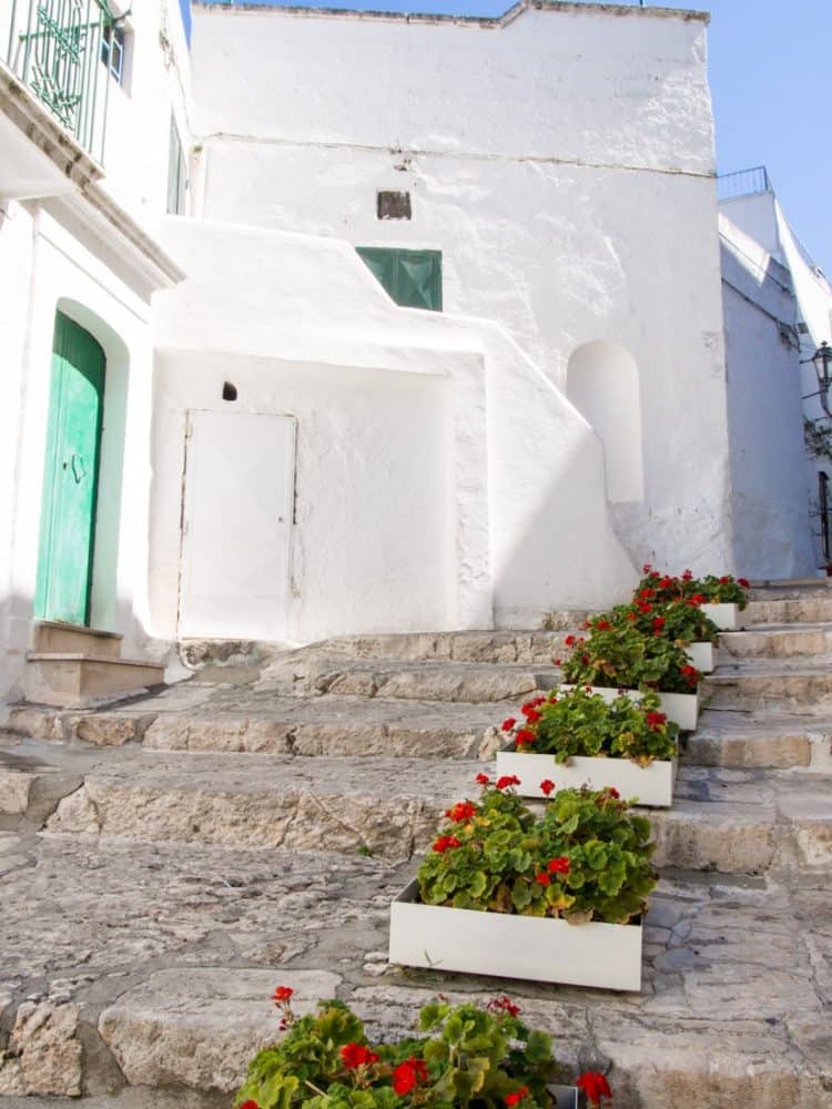 Green door and flowers on stairs in Ostuni, Puglia