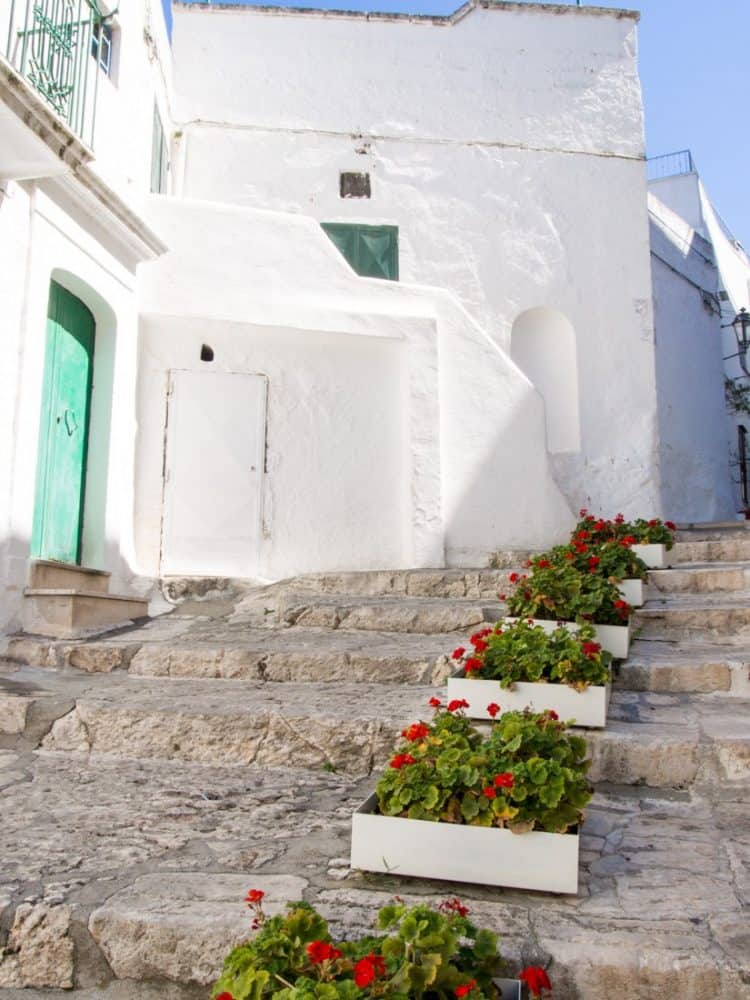 Flowers on stairs, Ostuni, Puglia, Italy