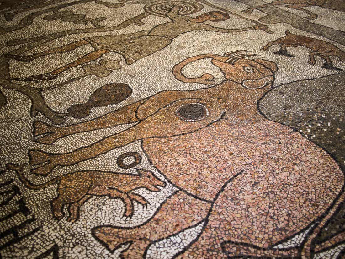 Mosaic floor in Otranto cathedral