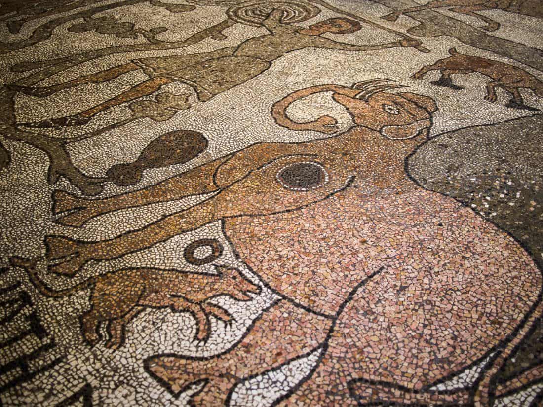 Mosaic floor in Otranto cathedral